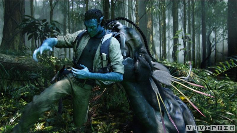 Avatar