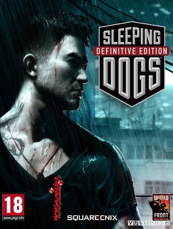 Sleeping Dogs