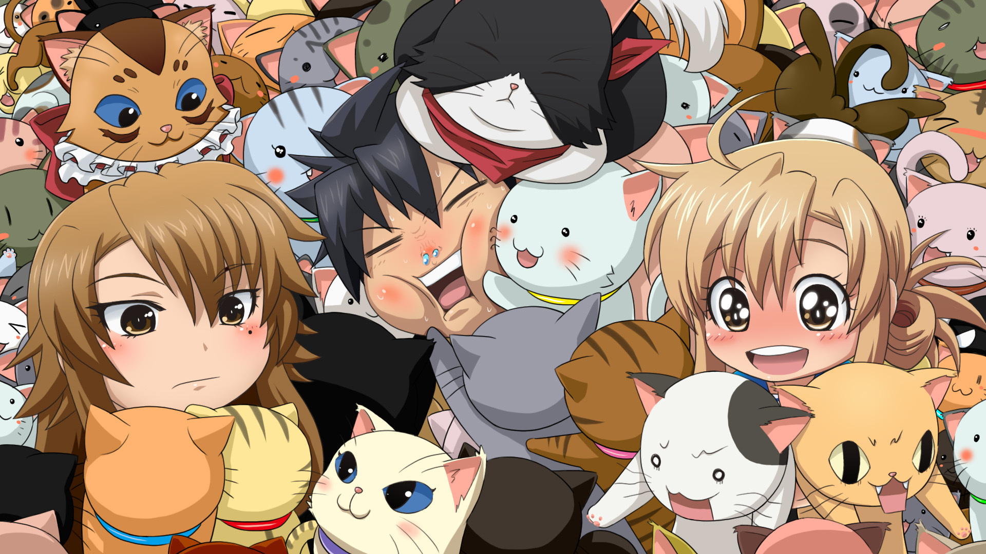Nyan Koi
