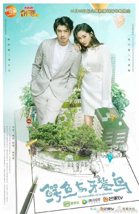 Cá Sấu Và Chim Choi Choi
