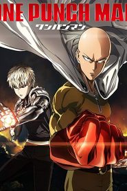 One Punch Man OVA