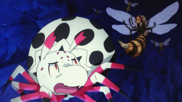 Kumo Desu ga, Nani ka?